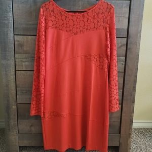 NWOT Sheath Dress with Lace Long Sleeves